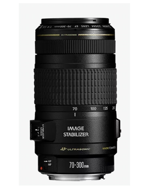 Canon EF 70-300mm f/4-5.6 IS USM